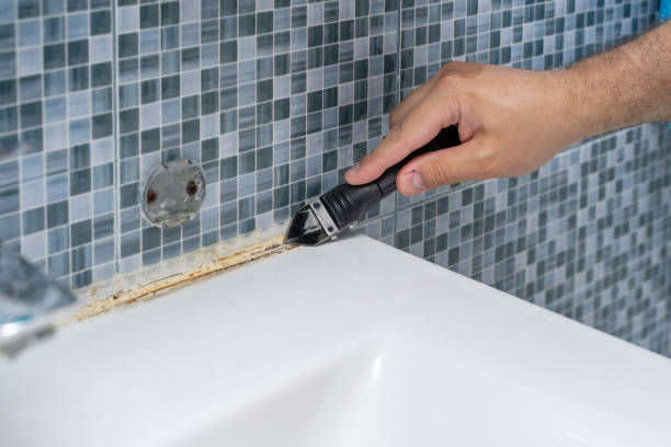 Best Mold Cleaning Services  in Ida Grove, IA